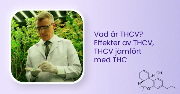 THCV